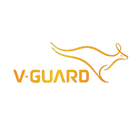 V Guard Pumps